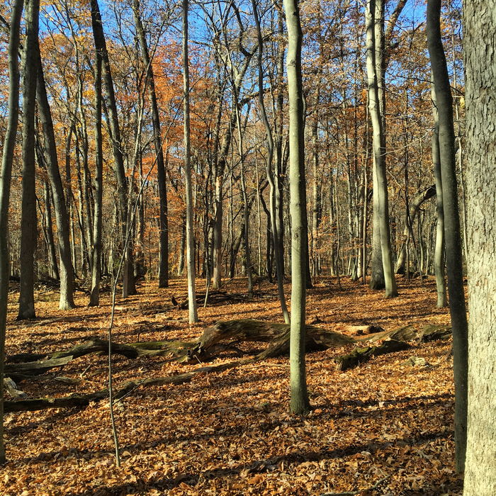 Kensington Metropark - 2015 Photo